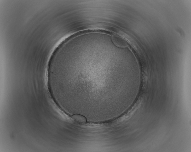 X0000113281076200909141220