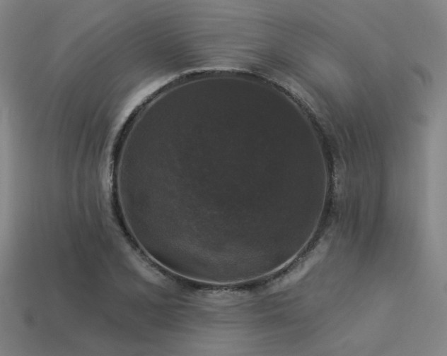 X0000113281077200909141220