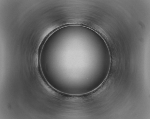 X0000113281079200909141220