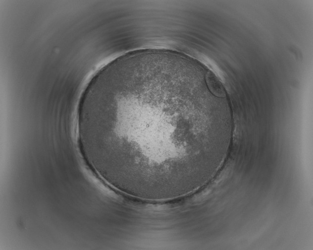 X0000113281080200909141220