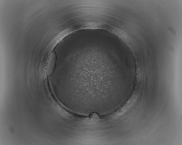 X0000113281081200909141220