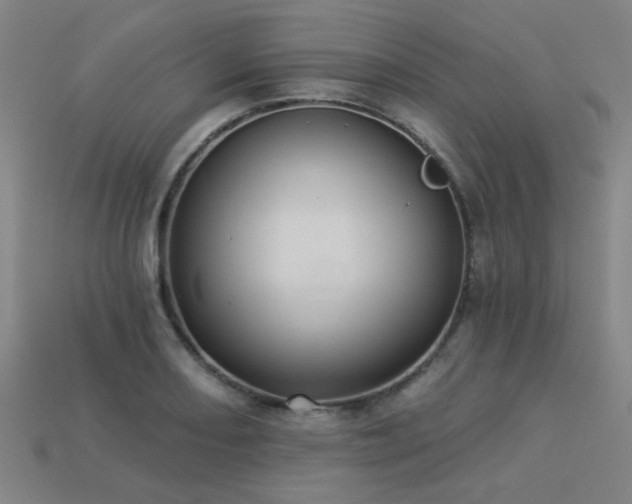 X0000113281082200909141220