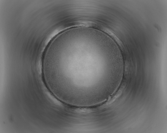 X0000113281083200909141220