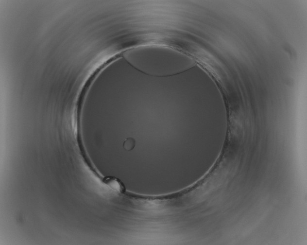 X0000113281084200909141220