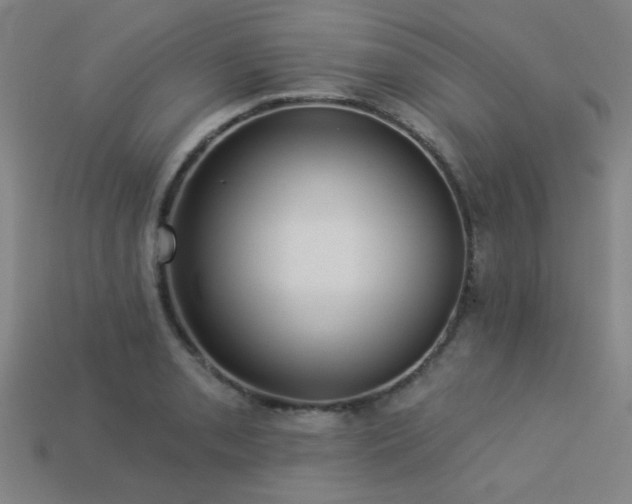 X0000113281085200909141220