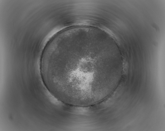 X0000113281086200909141220