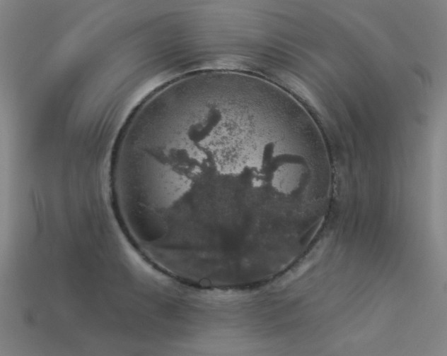 X0000113281087200909141220