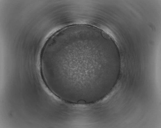 X0000113281088200909141220