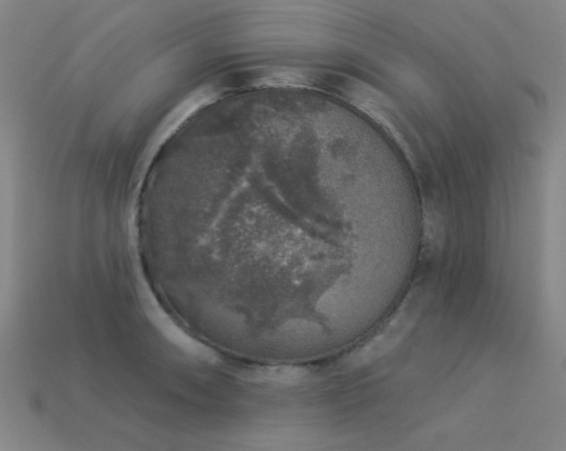 X0000113281090200909141220