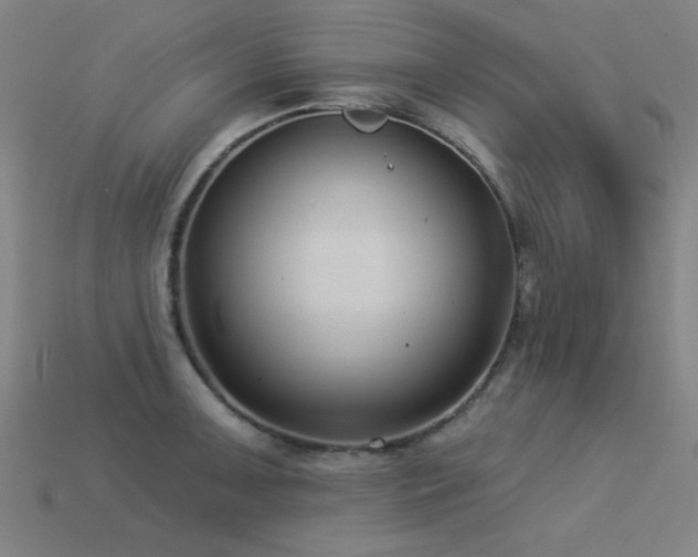 X0000113281091200909141220