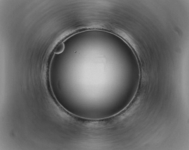 X0000113281093200909141220