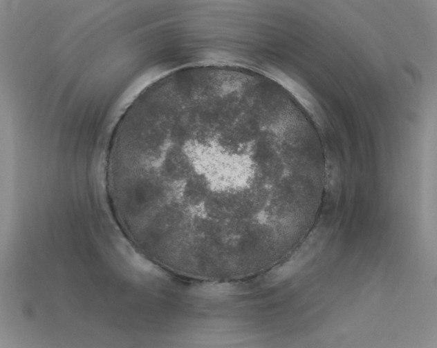 X0000113281094200909141220