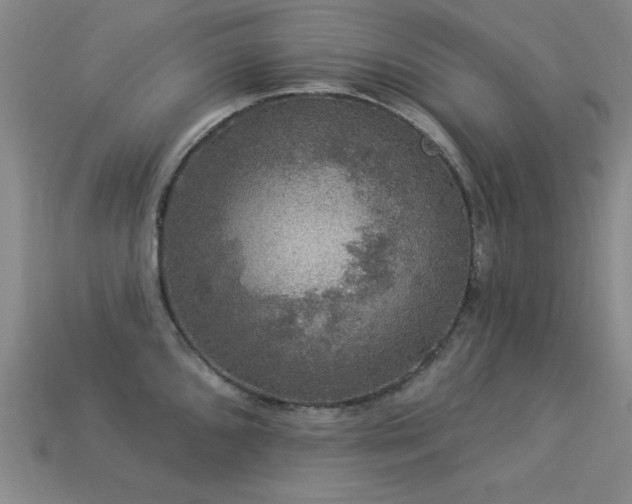 X0000113281096200909141220