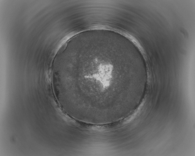 X0000113281097200909141220