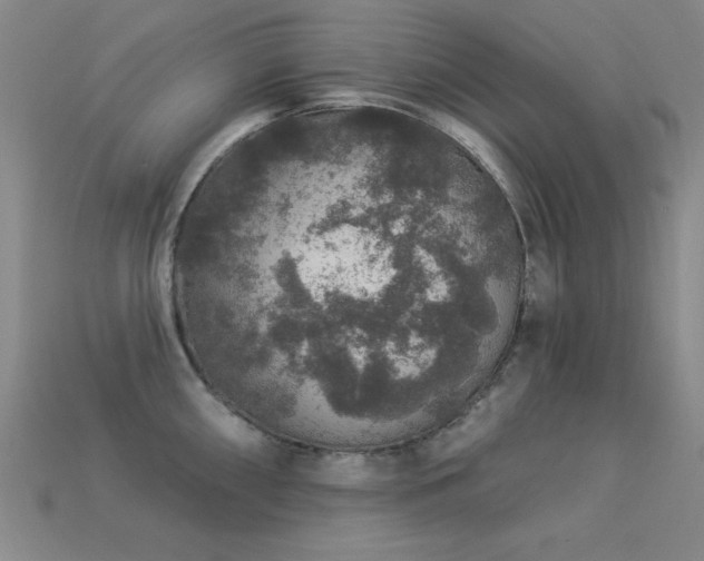 X0000113281098200909141220