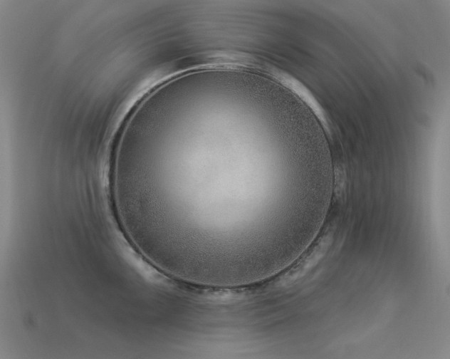 X0000113281099200909141220