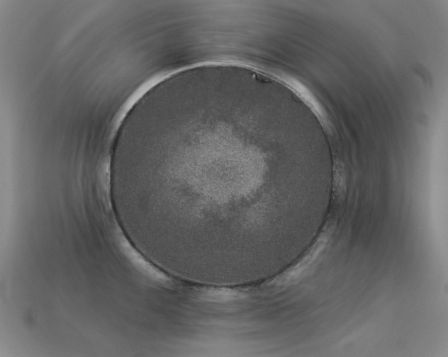 X0000113281100200909141220