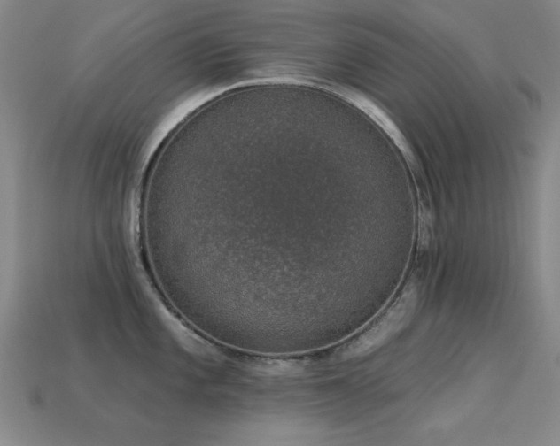 X0000113281101200909141220