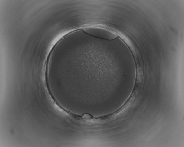 X0000113281102200909141220