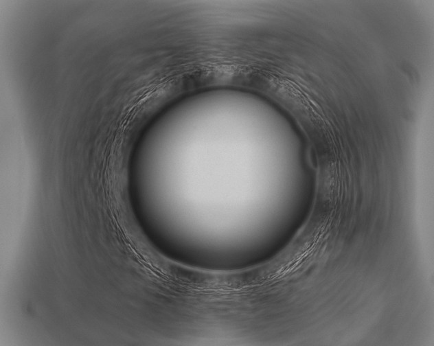 X0000113281105200909141219