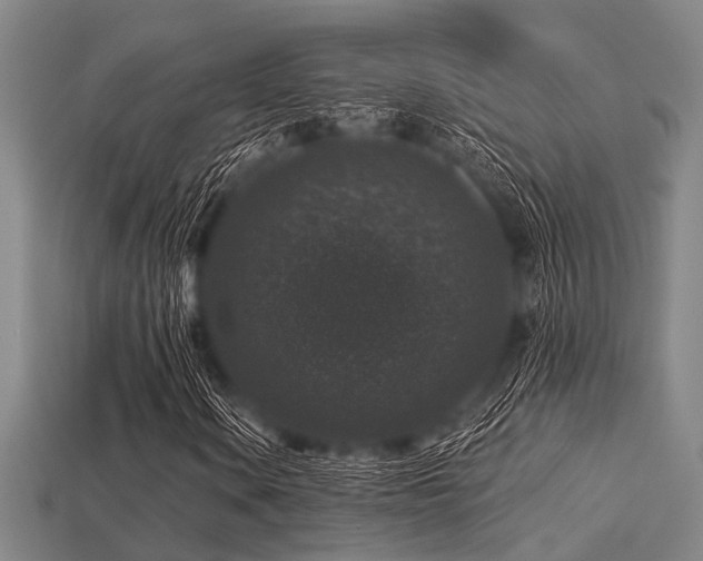 X0000113281106200909141219