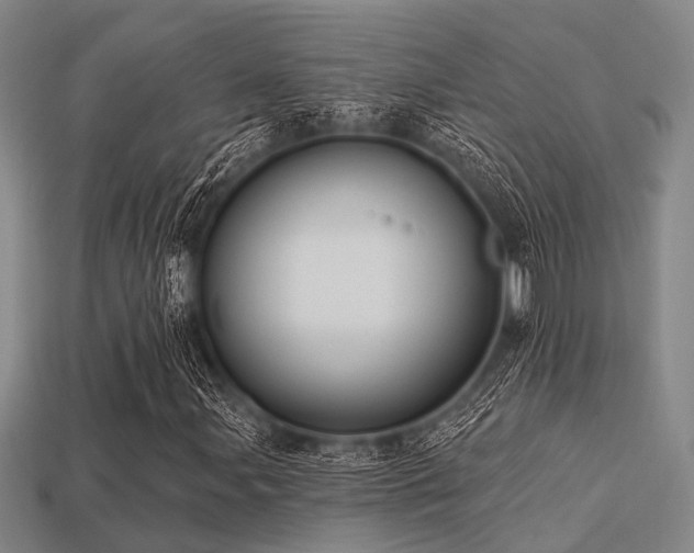 X0000113281107200909141219