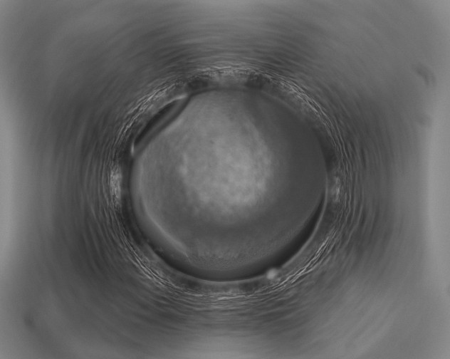 X0000113281108200909141219