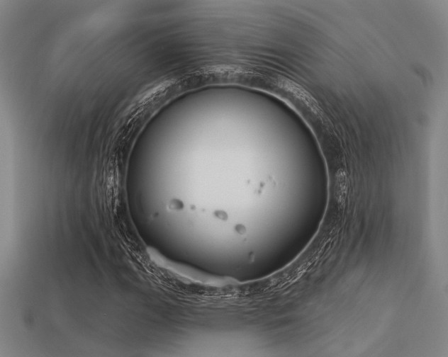 X0000113281111200909141219