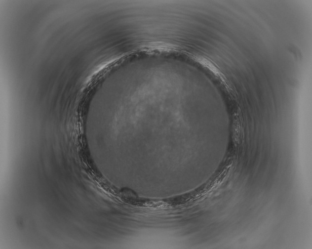 X0000113281112200909141219