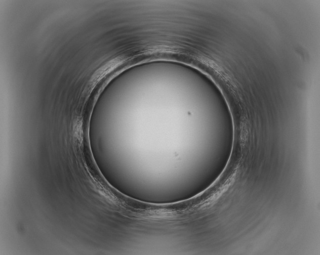 X0000113281113200909141219