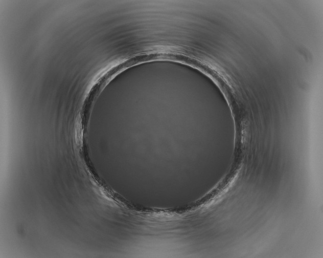 X0000113281117200909141219