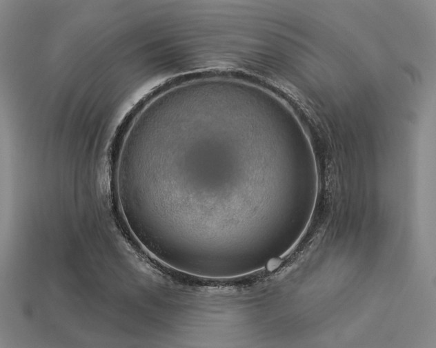 X0000113281118200909141219