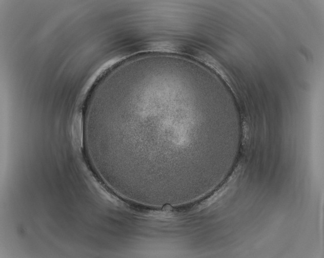 X0000113281123200909141219