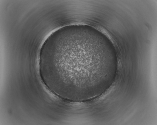 X0000113281124200909141219