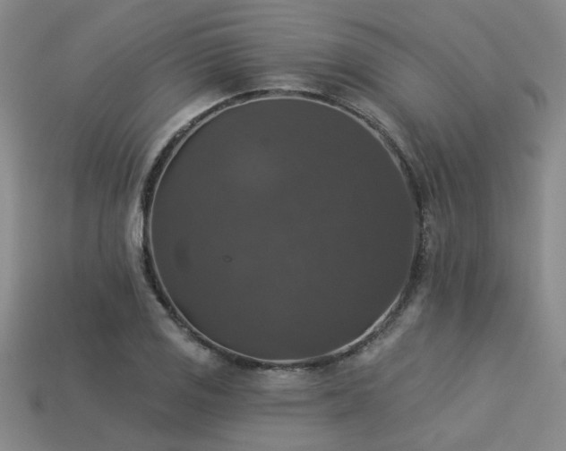 X0000113281125200909141219