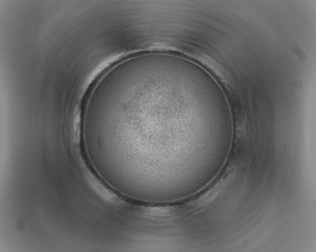 X0000113281126200909141219