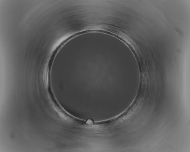 X0000113281127200909141219