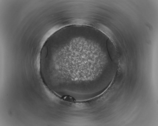 X0000113281128200909141219