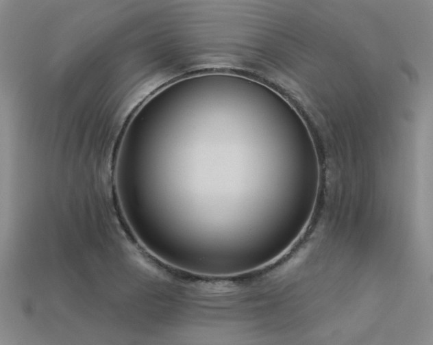 X0000113281129200909141219