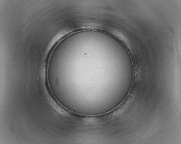 X0000113281130200909141219