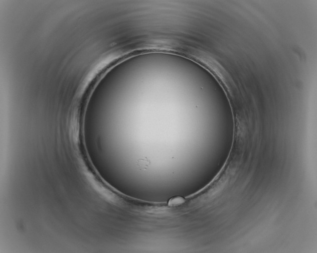 X0000113281131200909141219