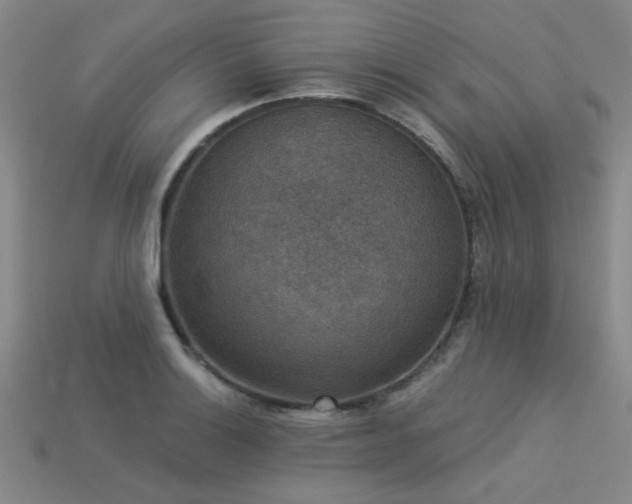 X0000113281132200909141219