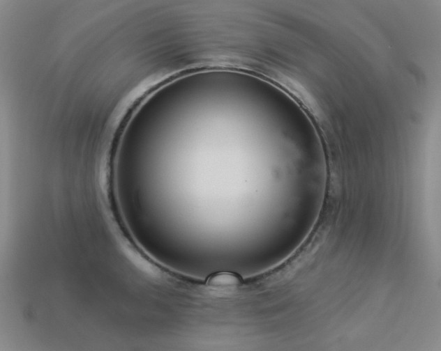 X0000113281136200909141219