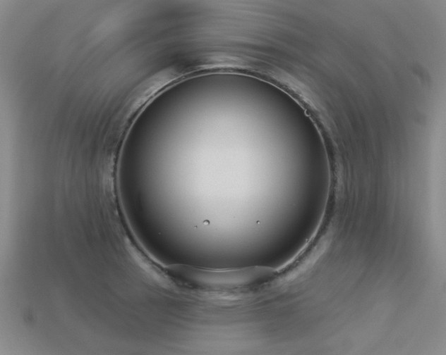 X0000113281137200909141219