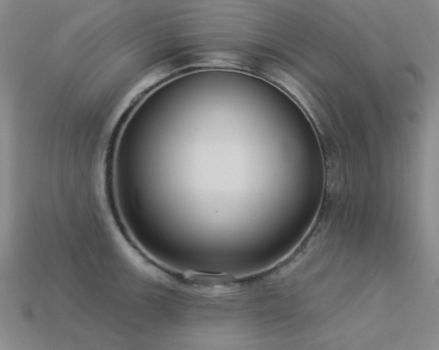 X0000113281139200909141220