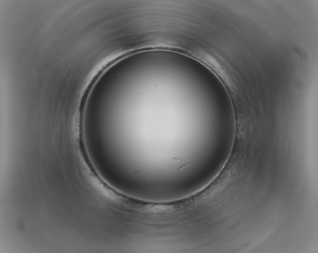 X0000113281140200909141220