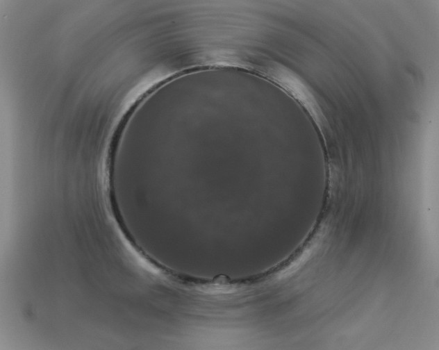 X0000113281141200909141220