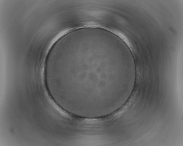 X0000113281142200909141220