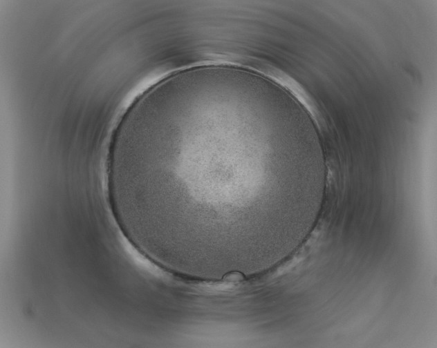 X0000113281143200909141220