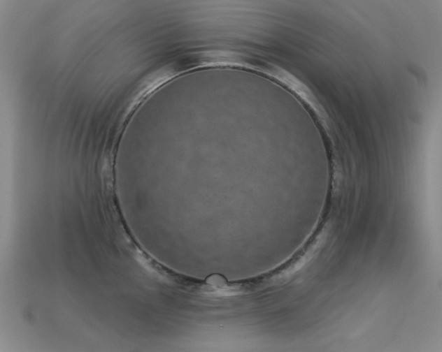 X0000113281145200909141220